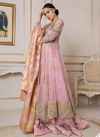 Ashifa Nabeel Butterfly Net With Heavy Embroidery Work And Sequins Work Pakistani Suit Collection 16001-16004